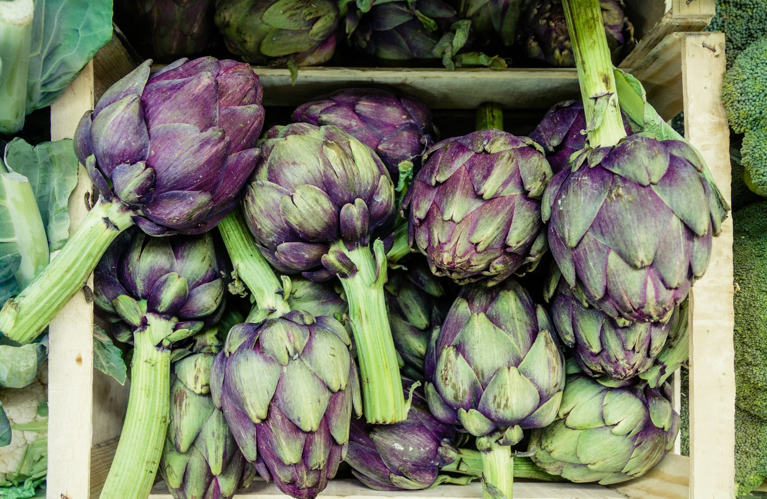 The Fibre-Filled Guide to Post-Bariatric Surgery Diet