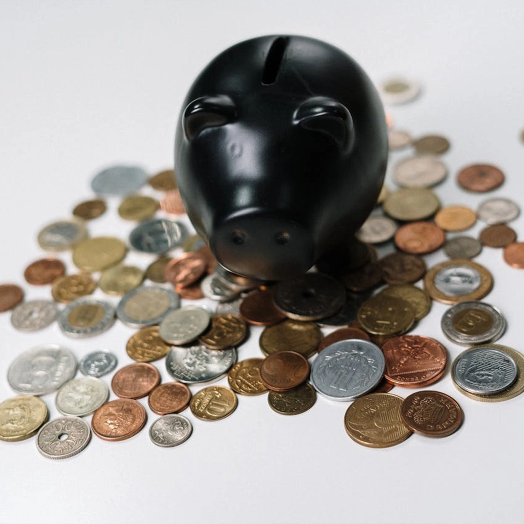 Photo of Piggy Bank with Money