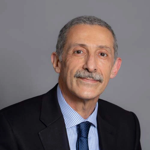 Headshot of Shamsi-El-Hasani